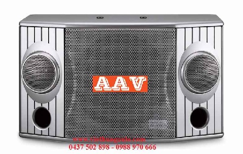 Dòng loa karaoke hay nhất hiện nay AAV KS 653